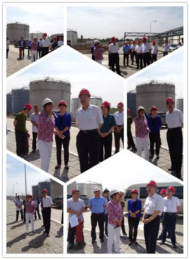 烈歡迎唐山市市委書(shū)記焦彥龍一行來(lái)我司調(diào)研指導(dǎo)