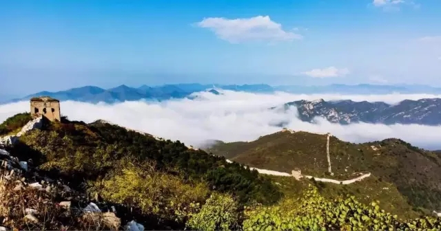 陽光行，快樂游--中溶科技2017“凝聚心感悟，歡樂戶外游”