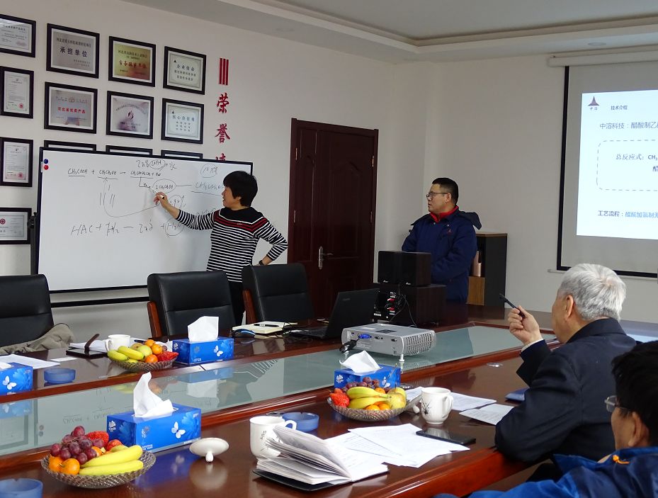 中溶科技領導與中國石化專家深入會談