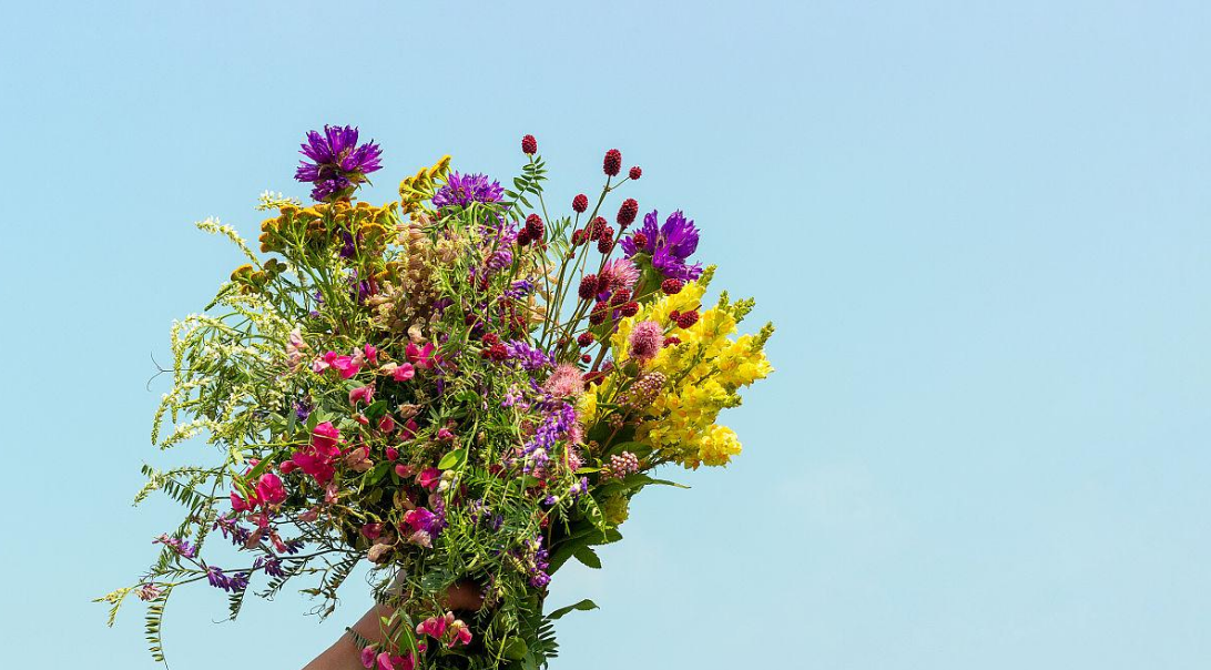 “三.八”婦女節——攜女神共同打響藍天保衛戰